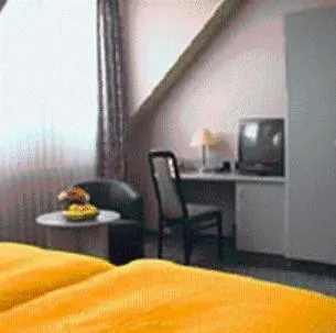 Hotel Am Schwan 3*